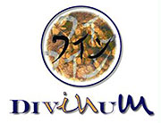 Armonia quesos y vinos en Puerto Ordaz Armonia quesos y vinos en Puerto Ordaz