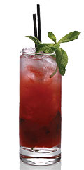 Red Mojito