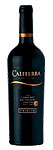 Cata con Enólogo de Viña Caliterra (Reseña)
