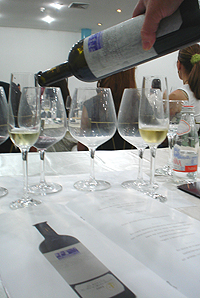 Marqués de Griñón El Rincón 2003