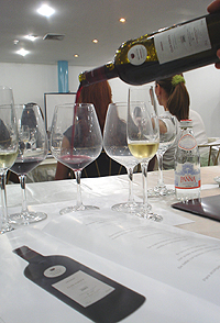 Mas d'en Gil Clos Fontá 2001