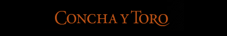 Degustacion de vinos premium de Concha y Toro