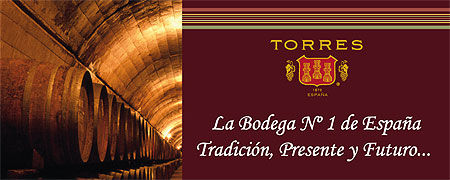 Cata de Alnova con vinos de Bodegas Torres