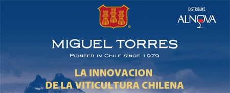 Cata de Bodegas Torres