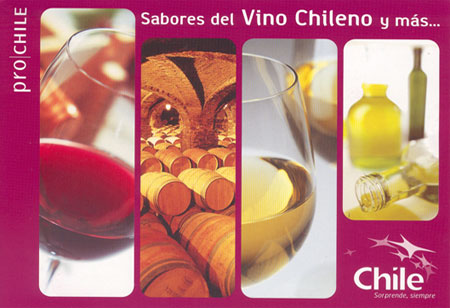 Sabores del vino chileno y mas...
