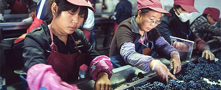 Los vinos de China en fotos