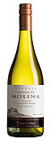Castillo de Molina Reserva Sauvignon Blanc 2010