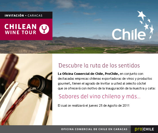 Sabores del vino chileno y mas - 2011