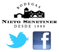 Nieto Senetiner - Cata virtual