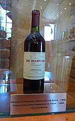 Primer vino de uva Carménère en Chile