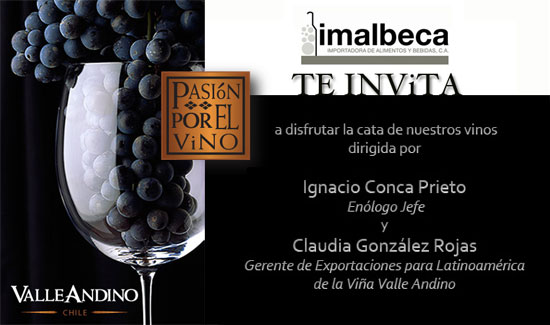 Cata Viña Valle Andino