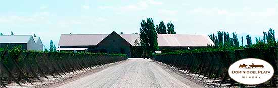 Susana Balbo, Torrontés y más...