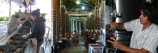 Susana Balbo, Torrontés y más...