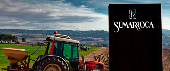 Probando vinos de Bodegas Sumarroca