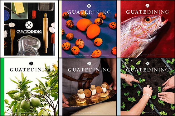 1 año en Guatedining