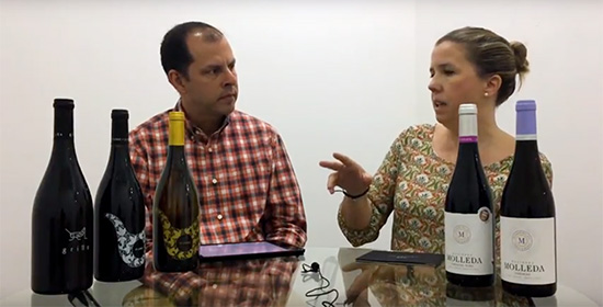 Entrevista representante El Grillo y La Luna y Hacienda Molleda