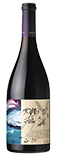 Montes Folly 2009