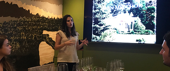 Cata vertical Don Melchor